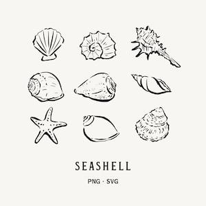 May include: A collection of nine black and white line art illustrations featuring various seashells and a starfish arranged in a grid. Below the illustrations, the text reads SEASHELL followed by PNG · SVG in a clean, sans-serif font.
