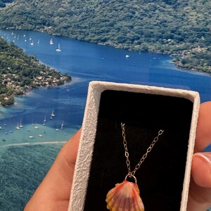 May include: A seashell pendant necklace with a gold chain, displayed in a white box with a black interior. The shell is a mix of yellow, orange, and purple hues. The background shows a scenic view of a blue ocean and green mountains.