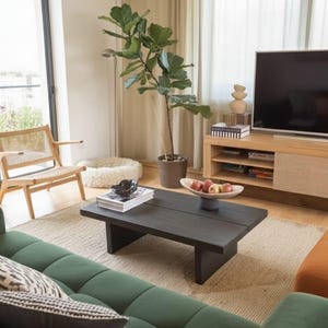May include: A modern living room with a green sofa, a dark wood coffee table, and a wooden entertainment center. A large potted plant and a woven chair add natural elements. The room is well-lit with natural light.
