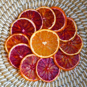 Dehydrated Citrus Dried Orange  Mix Garnish - 100g Jar