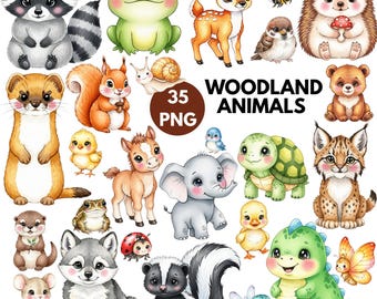 Imágenes prediseñadas de animales del bosque en acuarela, imágenes prediseñadas de animales del bosque PNG, imágenes prediseñadas de animales del bosque para guardería, imágenes prediseñadas de animales del bosque para baby shower