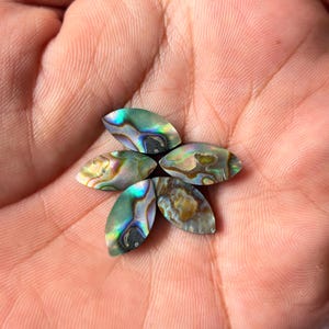 Natural Abalone Shell Cabochon: Marquise Flat Back Calibrated Gemstones, AAA+ Quality Size 8x16mm-15x30mm