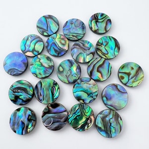 Natural Abalone Shell Coin Discs, Polished Paua Shell Beads (8-30mm)