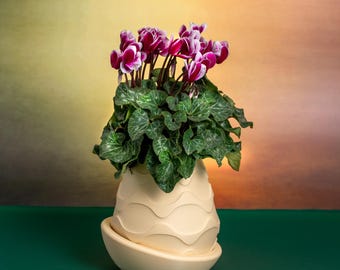 Minimal 3 Indoor Plant Pot, Wavy Planter for Home Decor, Made in Italy