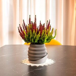 Peut inclure: Une composition végétale décorative dans un pot en céramique gris nervuré. La plante présente un feuillage rouge, jaune et vert vif. Le pot repose sur une soucoupe grise sur un napperon en dentelle blanche, sur une table gris foncé.