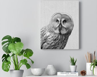 Owl Prints Wall Art Canvas Gallery Wraps 11x14-Grey Owl
