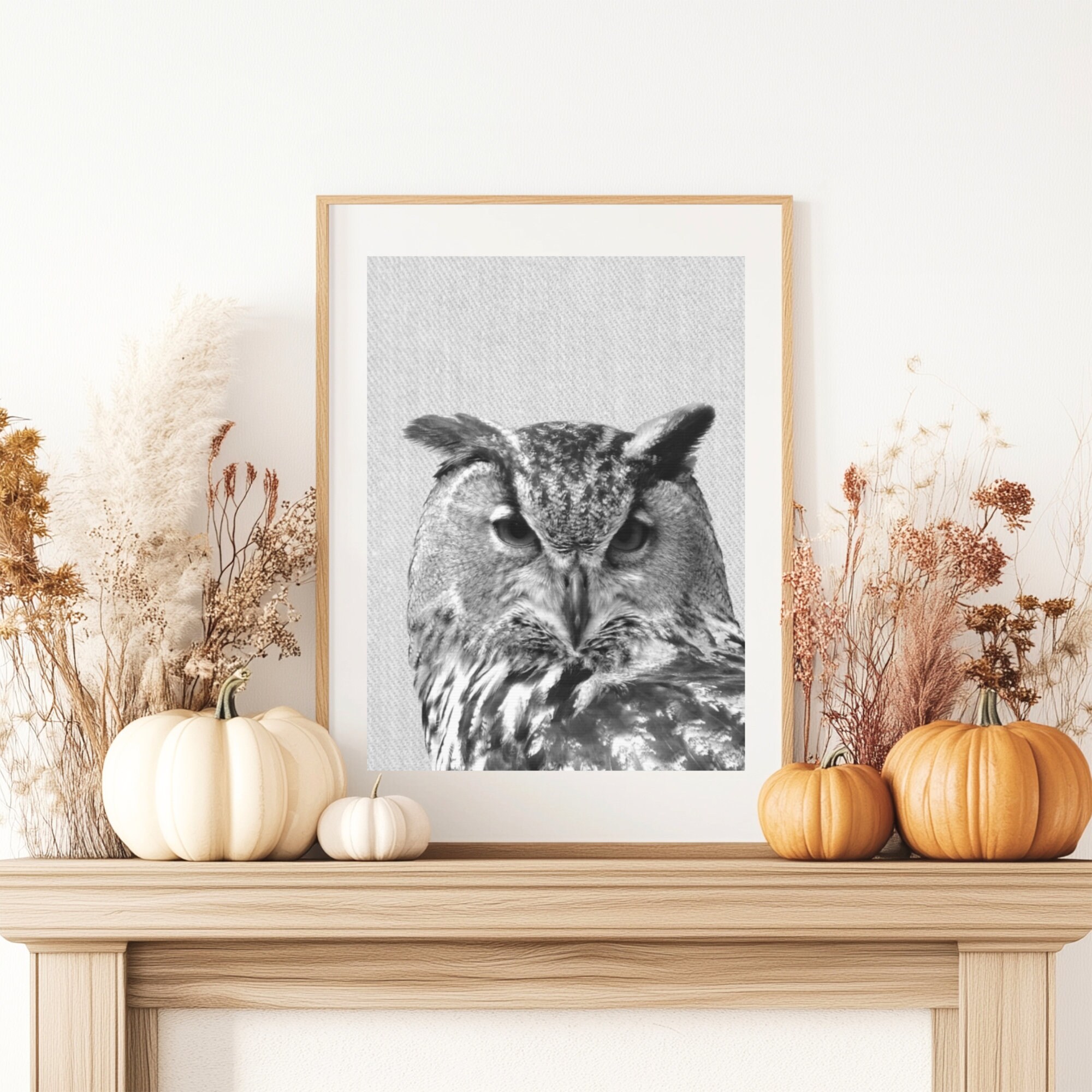 Black & White Owl Art Print, Fall Owl Wall Prints, Fall Home Decor, Owl Photography, Owl Nature Photo 11x14
