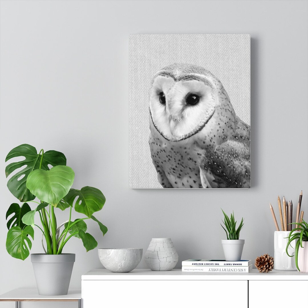 Barn Owl Wall Art Canvas Gallery Wrap 11x14 Etsy
