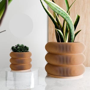 May include: Two wooden planters with a layered, ribbed design. One planter holds a small succulent, and the other contains a tall, green plant with striped leaves. The planters are light brown and sit on a white surface.