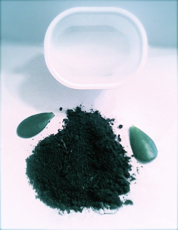 Items similar to Jade Plant Kit on Etsy