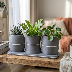 Può includere: Tre vasi di ceramica grigia con strisce bianche, ognuno con una diversa pianta da interno, sono su un vassoio abbinato. Una tazza e una candela sono anche sulla superficie di legno. Un portapiante in macramè è sullo sfondo.