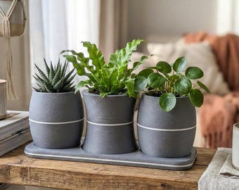 Set of Textured Grey Plant Pots - Stone Effect Decor - Cactus Pots with Matching Tray