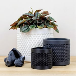 Peut inclure: Un pot de fleurs cylindrique blanc à motif géométrique texturé contenant une plante aux feuilles vertes et brun rougeâtre, accompagné de deux pots cylindriques noirs plus petits avec un motif similaire et un petit groupe de pierres gris foncé.