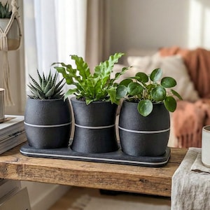Op de afbeelding: Drie potplanten in zwarte keramische potten met witte strepen, gerangschikt op een houten dienblad. De planten omvatten een vetplant, een varen en een plant met ronde bladeren. Een brandende kaars en een mok zijn ook zichtbaar.