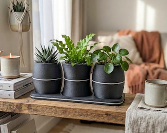 Set of three matte black plant pots with trays - Industrial and modern plant decoration