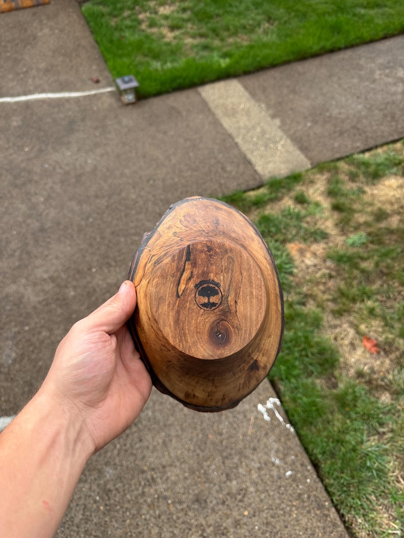 Pu&ograve; includere: Una ciotola di legno fatta a mano con un bordo naturale. La ciotola &egrave; realizzata in legno marrone scuro con un disegno circolare sul fondo. La ciotola &egrave; tenuta nella mano di una persona.