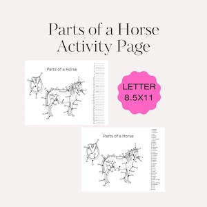 Könnte beinhalten: Eine weiße Aktivitätsseite mit dem Text "Parts of a Horse Activity Page". Die Seite enthält beschriftete Diagramme eines Pferdes und eines Hufs. Ein rosa Aufkleber lautet "LETTER 8.5X11".