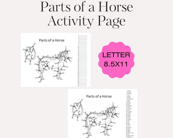 Página de actividad para etiquetar caballos / Hoja de trabajo imprimible educativa para niños / Aprende la anatomía del caballo (PDF)