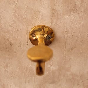 May include: A close-up shot of a brass wall hook. The hook has a circular base with two screw holes and a small screw. The hook itself is a rounded, elongated shape. The hook is mounted on a textured, off-white wall.