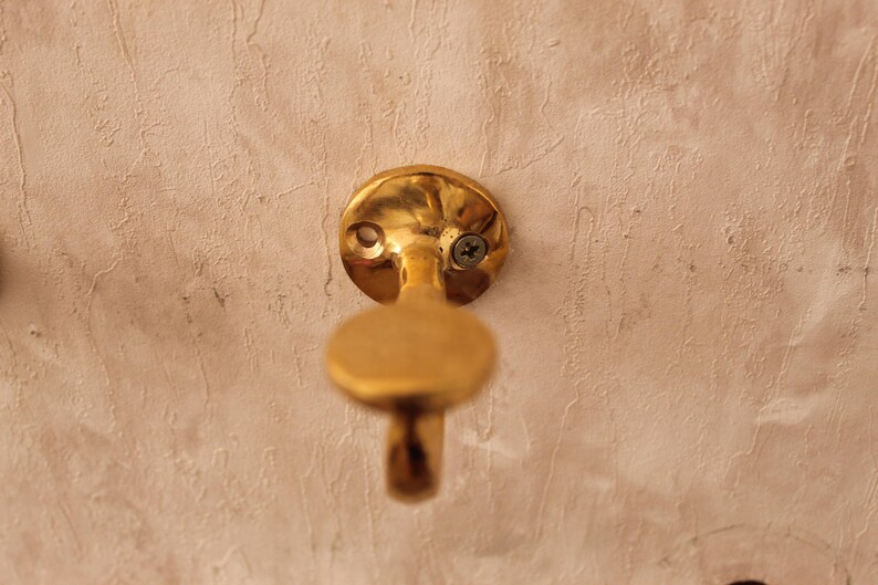 May include: A close-up shot of a brass wall hook. The hook has a circular base with two screw holes and a small screw. The hook itself is a rounded, elongated shape. The hook is mounted on a textured, off-white wall.
