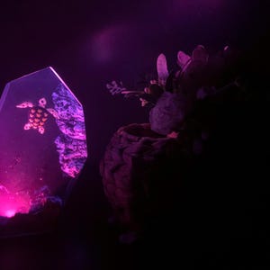 Ocean Resin Lamp Night Light – Handmade LED Lamp with Sea Turtle & Diver Scene | Gift for Scuba Divers, Ocean Lovers and Marine Fans