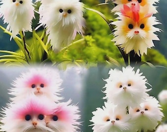 大きな花 猫の顔 キャッツアイ ダズル オーキッドフラワー 50粒 - Etsy