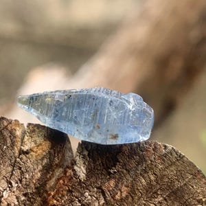 May include: A translucent, light blue crystal with a pointed tip and textured surface. The gemstone is resting on a piece of weathered, brown wood, with a blurred natural background.