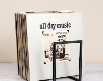 Metal Vinyl Record Rack • Minimalist LP Storage & Display