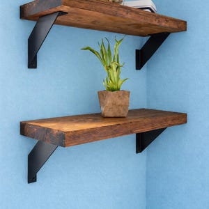 Könnte beinhalten: Zwei Holzregale mit dunkler Beize sind an einer hellblauen Wand montiert. Jedes Regal wird von zwei schwarzen Metallwinkeln getragen. Auf dem unteren Regal steht eine kleine Topfpflanze, und das obere Regal enthält einen transparenten Behälter mit Nüssen.