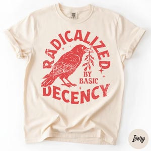 Radicalized By Basic Decency Comfort Colors T-shirt, Activist Tee