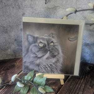 Make A Wish, Persian Cat, Blank Greetings Card