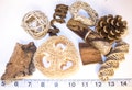 Natural Bird Toy Sampler: Loofah, Pinecone, Coconut Husk & More