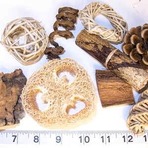 Natural Bird Toy Sampler: Loofah, Pinecone, Coconut Husk & More