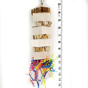 Yucca & Balsa Party - Regular