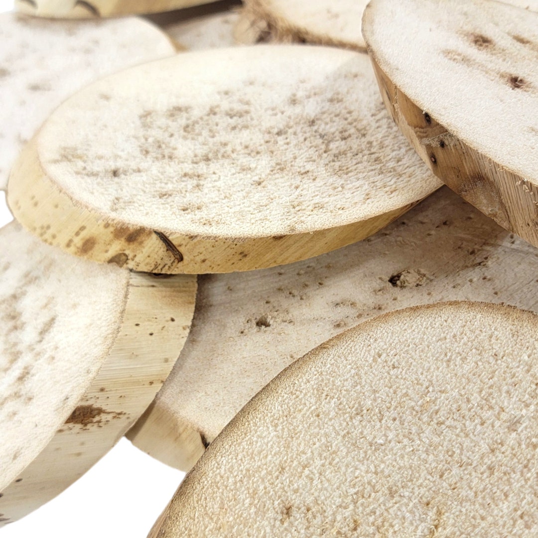 BIG Yucca Slices 10 Pack Parrot Toys and Bird Toy Parts by A Bird Toy