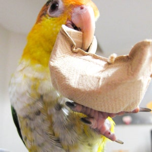 100 Natural Munchie Cups: Parrot Foraging Toy Parts