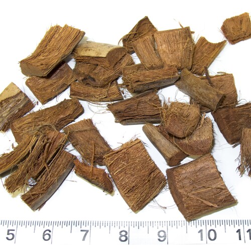 Yucca Slices 20 Pack Parrot Toys and Bird Toy Parts by A Etsy