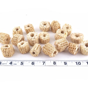 May include: A close-up of a group of beige ceramic rings, some with a hole in the center, arranged on a white surface with a ruler measuring 10 inches.