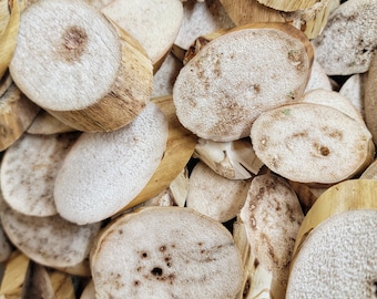 Small Yucca Slices - 20 Pack