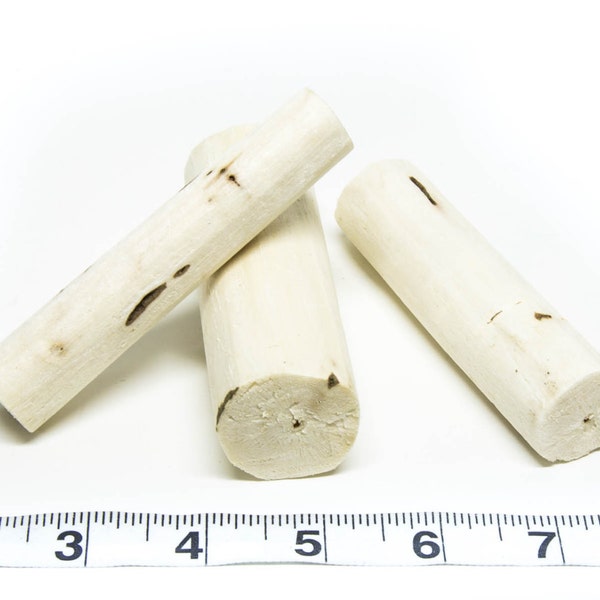 10 Natural Sola Softie Sticks - Crafting - Parrot Toys and Bird Toy Parts by A Bird Toy