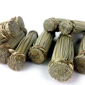 Natural Grass Bird Toy Bundles 5 Pack- Parrot Foraging Chew Toys