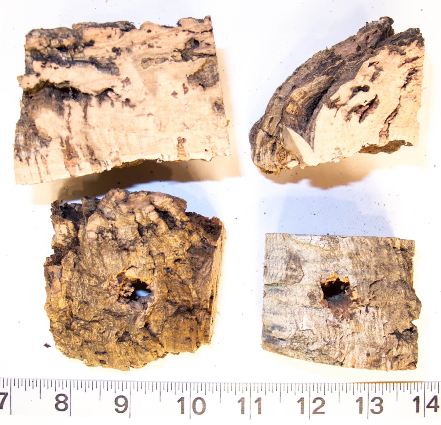 4 Natural Raw Cork Bark Chunks W/hole Refill Wood Pieces for Etsy