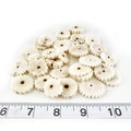 Sola Crackers - 80 to 100 Pieces - Parrot Toys and Bird Toy Parts by A Bird Toy