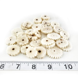 Sola Wood Crackers: Bird Toy Parts (80-100 Pieces)