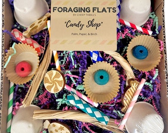 BYOT Foraging Flat - "Candy Shop" - Interactive, Pre-Made Foraging Activity Center for Cockatiels, Caiques, Conures, Other Parrots & Birds