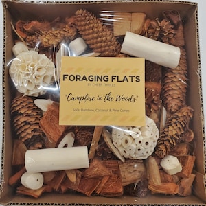 Foraging Flat Activity Box For Birds - &quot;Campfire in the Woods&quot; - Great for Conures, Cockatiels, African Greys and Other Parrots