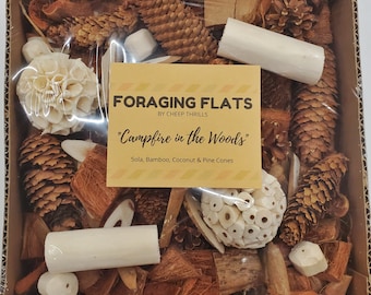 BYOT Foraging Flat - "Campfire in the Woods" - Interactive, Pre-Made Foraging Activity Center for Caiques, Conures, Other Parrots & Birds