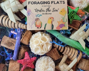 BYOT Foraging Flat - &quot;Under the Sea&quot; - With Sola, Vine & Palm! Interactive, Pre-Made Foraging Activity Center for Caiques, Conures, Etc