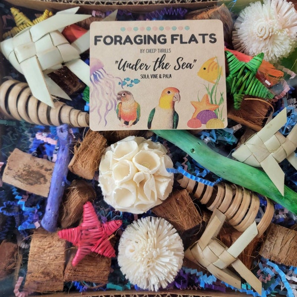 BYOT Foraging Flat - "Under the Sea" - With Sola, Vine & Palm! Interactive, Pre-Made Foraging Activity Center for Caiques, Conures, Etc