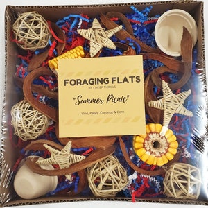 Summer Picnic Foraging Flat: Parrot Enrichment Toy